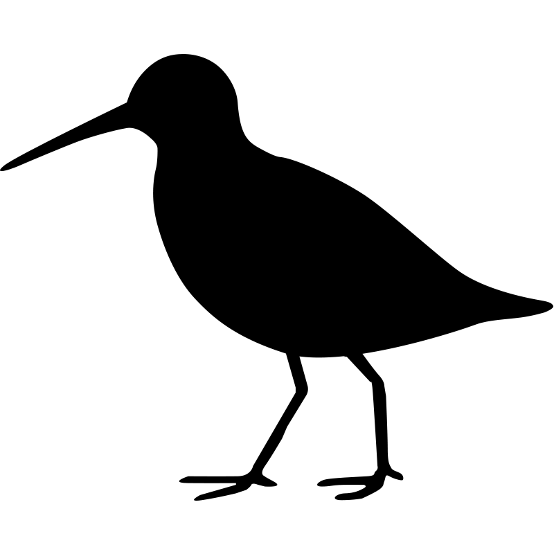 loading image - snipe bird silhouette